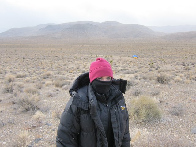 A Lone Wanderer in the Wilderness in 2011