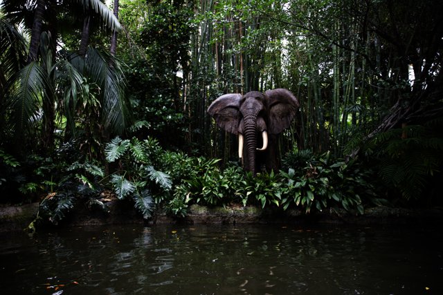 Enchanted Elephant of the Jungle