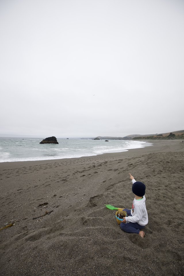 Child Points to the Horizon on a Foggy Coast