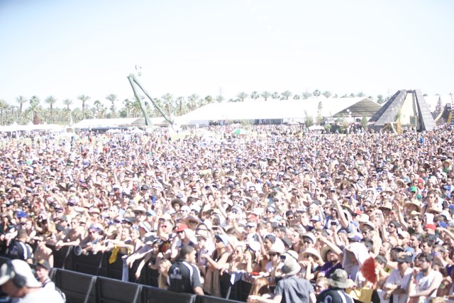 The Crowd Goes Wild at Coachella Music Festival