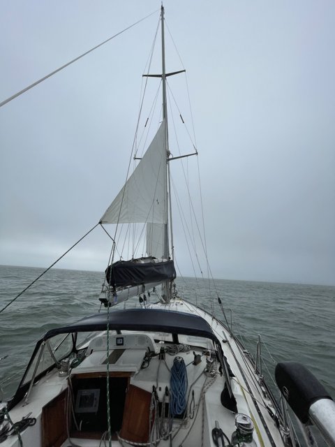 Sailing through Richardson Bay