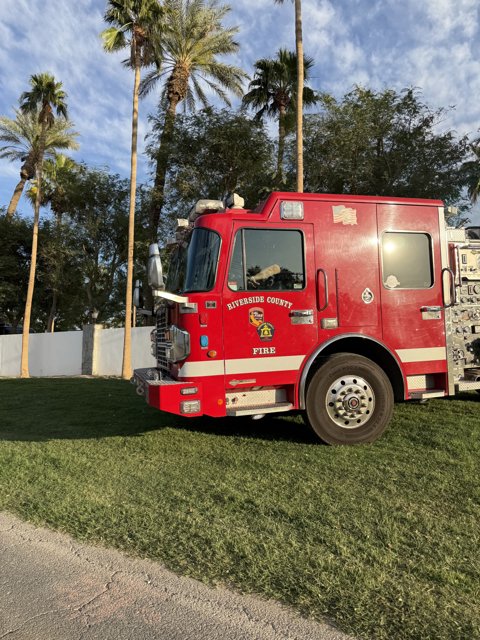 Emergency in Paradise