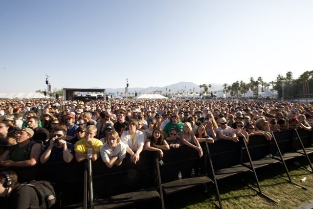 Coachella 2008: The Massive Music Crowd