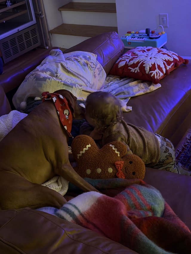 Peaceful Bedtime Routine with Child and Pet Cat