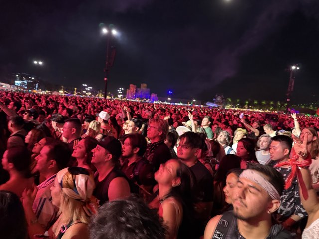 Night Vibes Under the Stars
