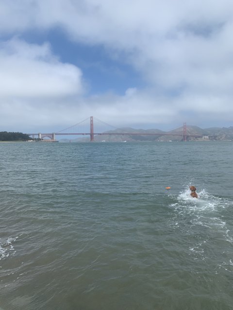 Ocean Swim with Golden Gate Backdrop