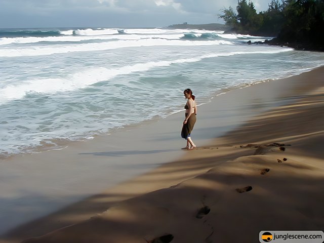 Barefoot Beach Stroll