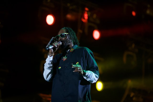 Snoop Dogg rocks the crowd at Coachella 2012