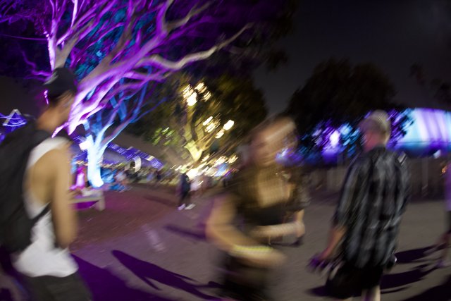 Purple Lit Night-Time Stroll