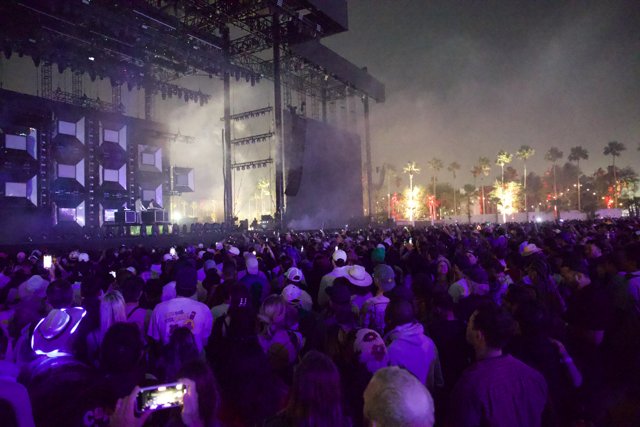 Night Under the Lights: Coachella 2024