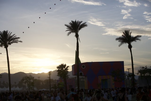 Palm Trees and People at Coachella