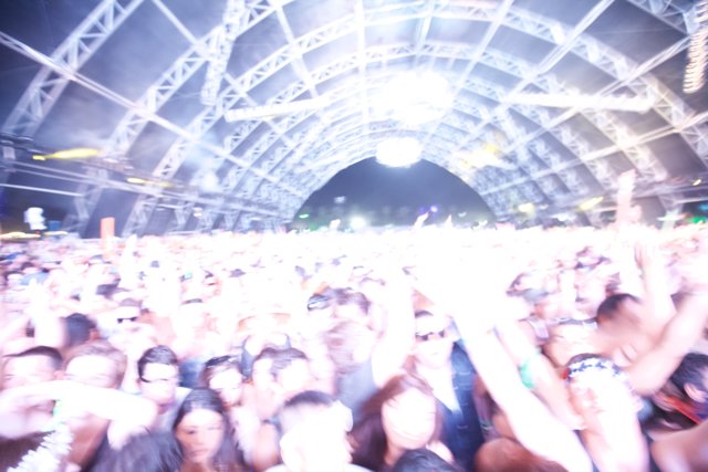 The electrifying crowd at Coachella Music Festival