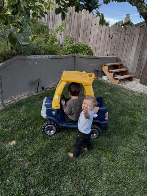 Backyard Adventures