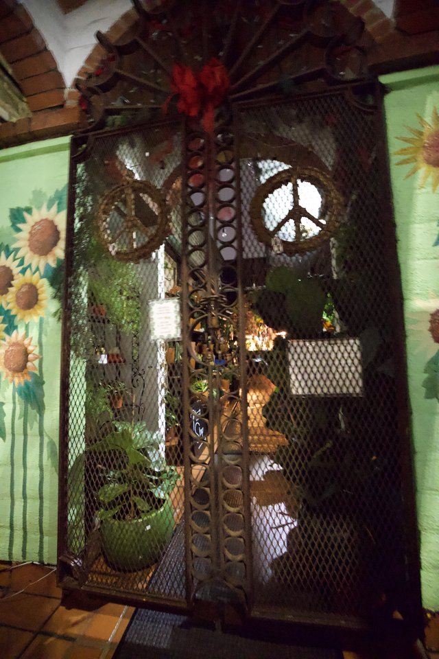 Eclectic Mesh Cage Display with Peace Symbol and Plants