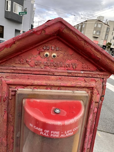 The Quirky Fire Hydrant of San Francisco