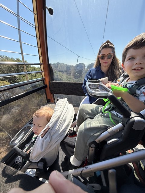 A Sunny Ride Above Oakland Zoo