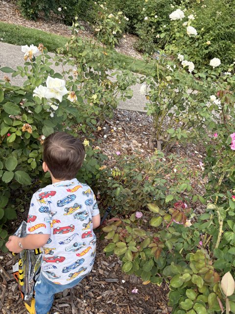 Garden Adventures at Heather Farm Park