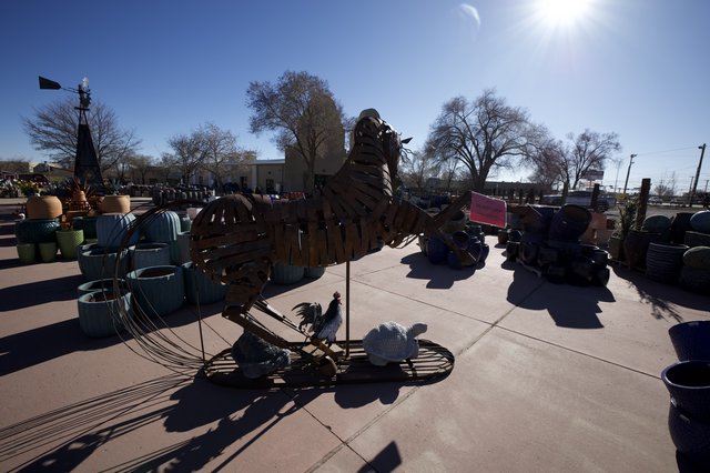 Metal Sculpture Garden Display in Southwest Sunlight