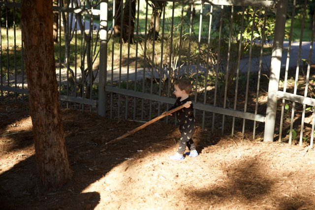 Adventures at the Zoo: Wesley's Wooden Wand