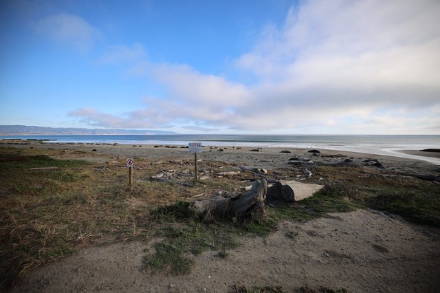 Coastal Serenity at Drakes Beach Elephant Seal Habitat