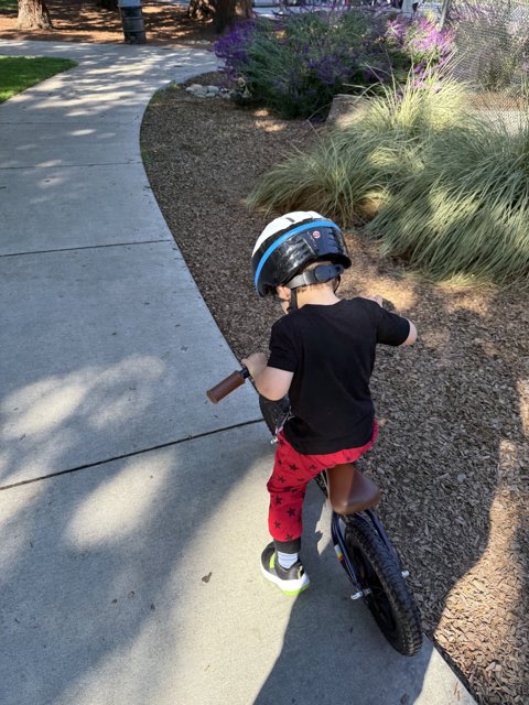 Little Adventurer on Wheels