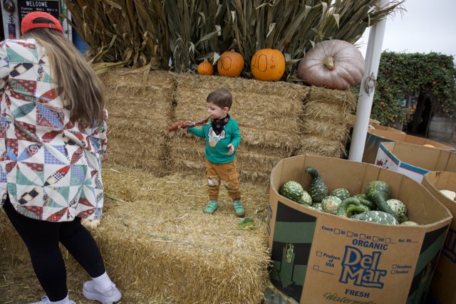 Harvest Playtime