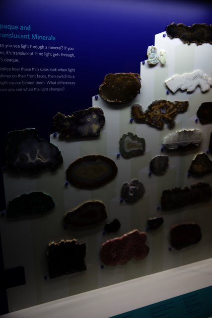 Dazzling Display of Rocks and Minerals