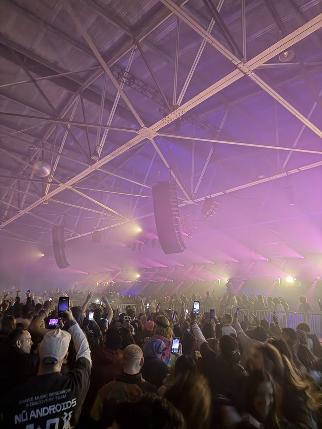 Electronic Music Concert with Purple Haze and Crowd