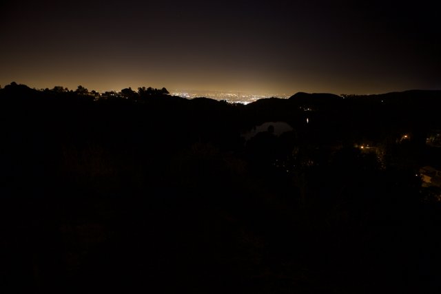 Silhouettes of the City Lights