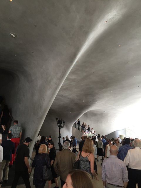 Curved Ceiling at The Broad