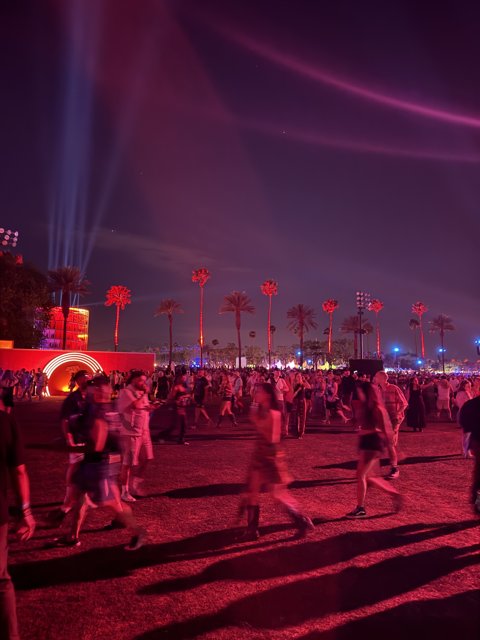 Electric Evening: Festival Vibes