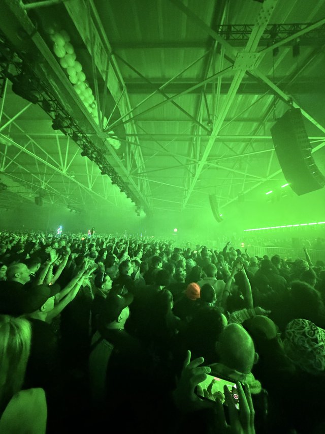 Massive Crowd Under Green Laser Light Show at Electronic Music Concert