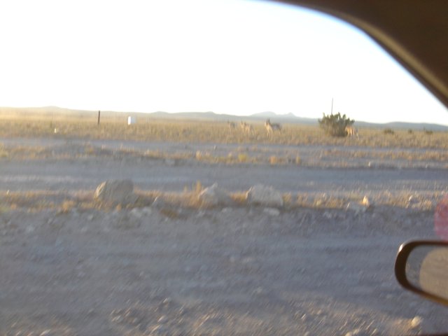 Scenic Drive through the Desert