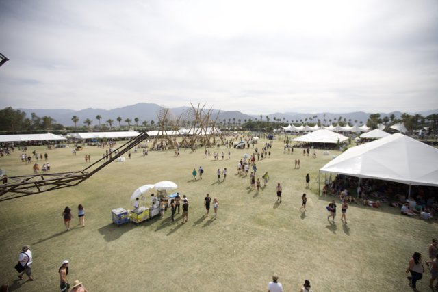 Coachella Crowd in the Field