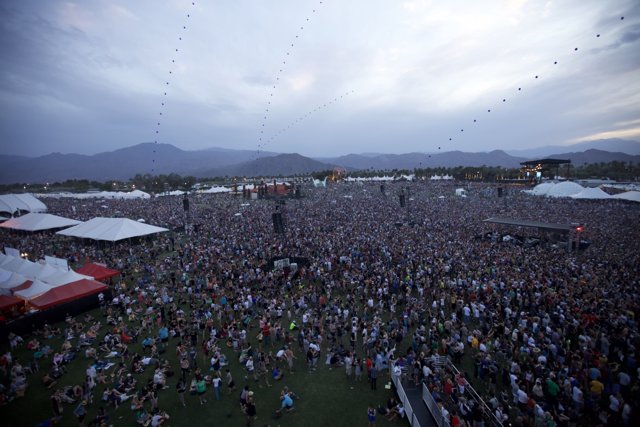 The Thrill of the Crowd: Coachella Festival 2010