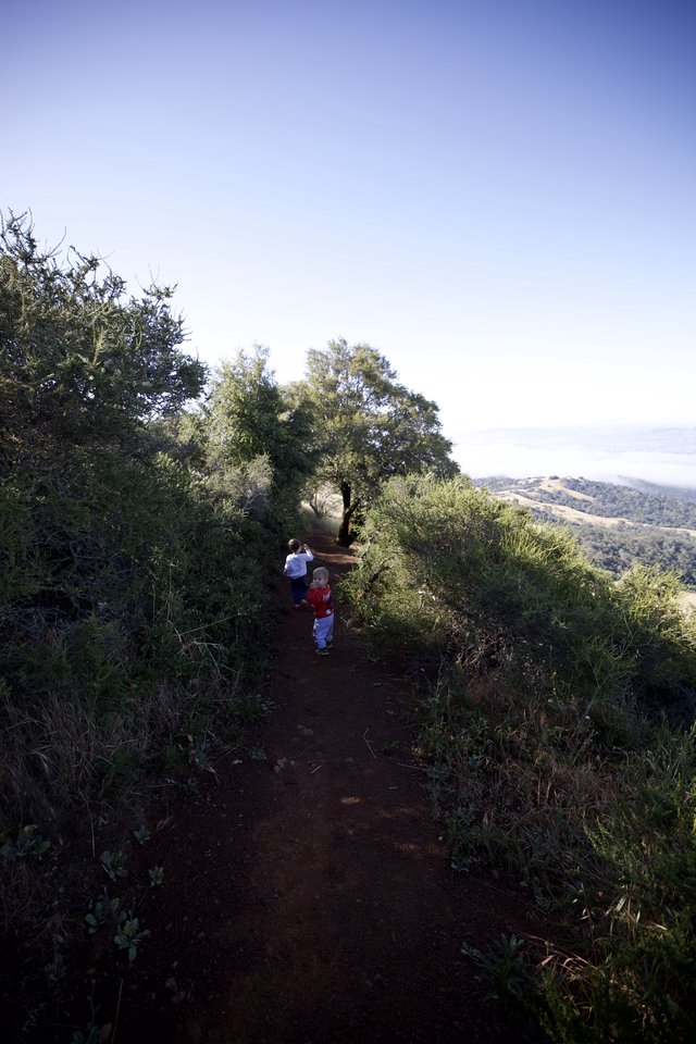 Young Hikers Exploring Mount Diablo's Juniper Canyon Trail