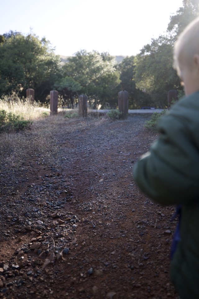 Young Explorer on Gravel Trail at Mount Diablo