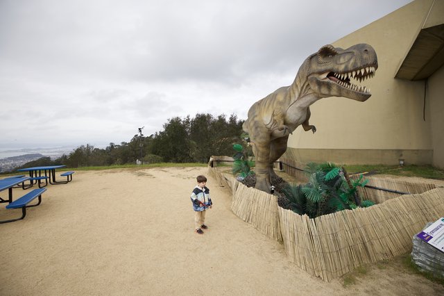 Child Encounters Life-Size T-Rex Display at Hilltop Park