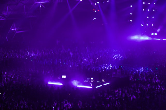 Purple Spotlight Concert Experience