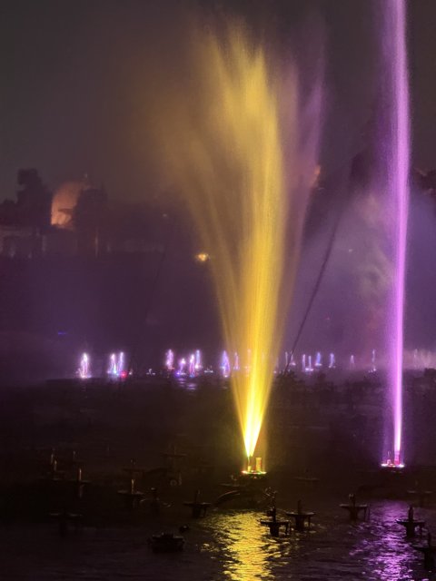 Illuminated Nightscape: Disney's Water Symphony