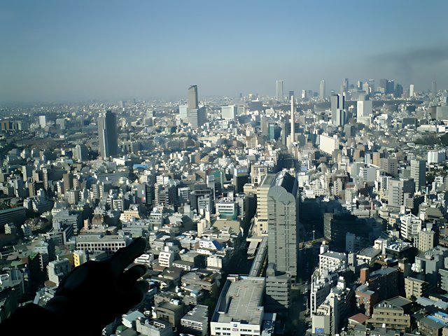 Cityscape from the Top of Ebisu Tower
