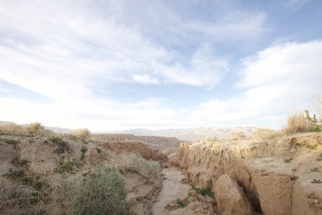 Path Through the Anza-Borrego Desert