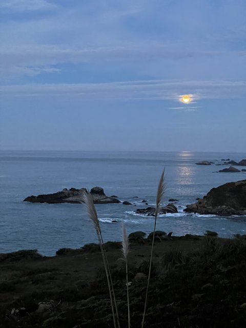 Moonrise over the Pacific