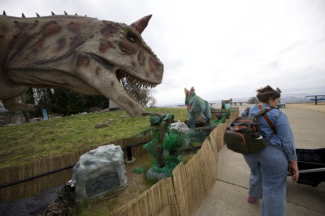 Visitor Observes Life-Size Dinosaur Exhibit on Hilltop