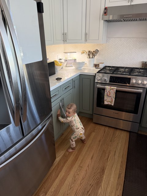 Curious Explorations in the Kitchen