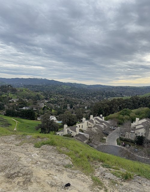 Overcast Serenity in Walnut Creek