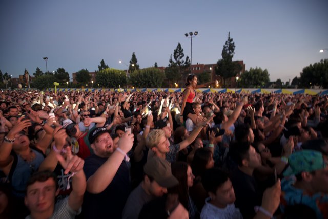 The Electric Crowd at FYF Bullock 2015
