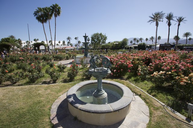 Serene Garden Fountain Amidst Palm Trees