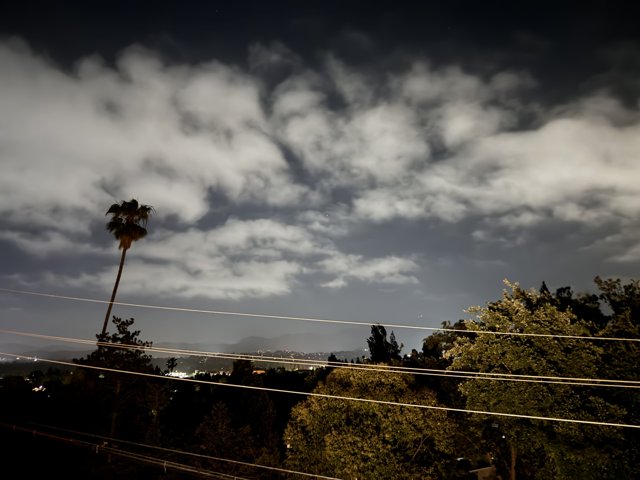 Evening Skies Over Walnut Creek