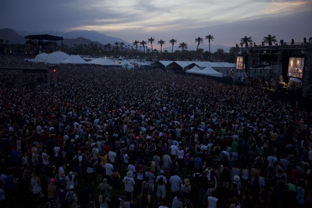 Coachella's Musical Masses